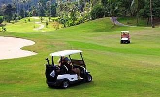 fi-slow-ezgo-golf-cart A slow EZGO golf cart