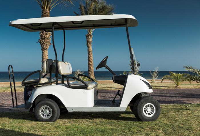 EZGO Crank Seal Replacement