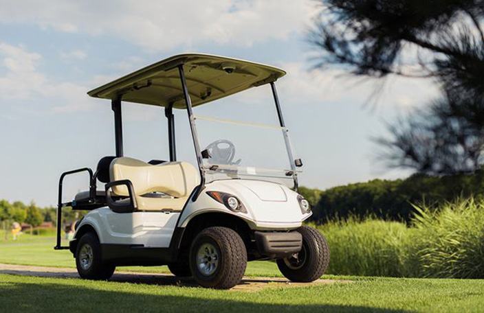 EZGO Robin 295cc engine won't start
