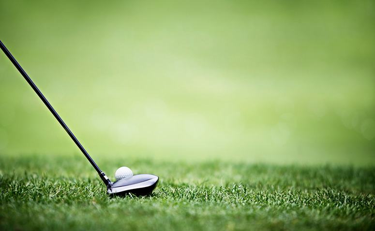 TaylorMade M4 Driver Shaft Options